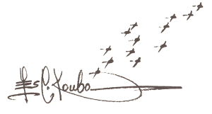 Les Kouba Signature